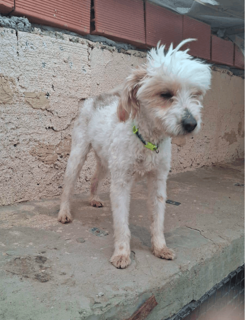 Ermes