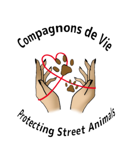 default-logo